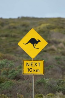 Road sign warning of Kangaroo's on the Great Ocean road