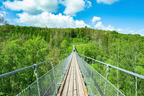 Haengeseilbruecke ueber das Baerental