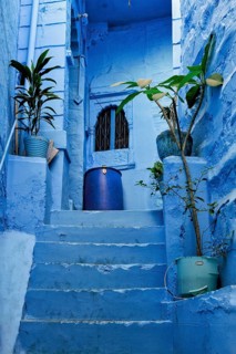 Blue houses in streets of of Jodhpur