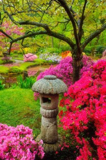 Stone lantern in Japanese garden with blooming flowers in Park Clingendael