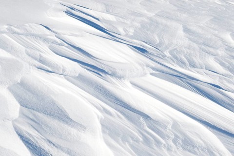Snowdrift