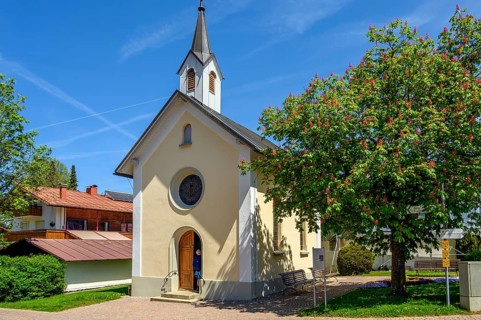 Lourdes Chapel from 1895 and red flowering horse-chestnut