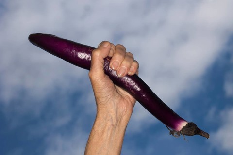 A female hand