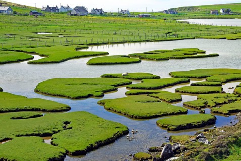 Gezeitenlandschaft mit Grasinseln und Wasserarmen