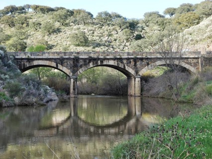 Roemische Bruecke im Monfrague Nationalpark