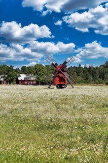 Red windmill in a flowering meadow on the edge of a village