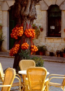 Comfortable sitting-room furniture in a street cafe Valldemossa Majorca Spain Comfortable living-room furniture in a street cafe Valldemossa Majorca Spain