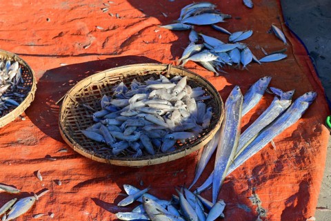(Pisces) Ngapali Beach, Thandwe, Burma, Burma, Myanmar, Asia