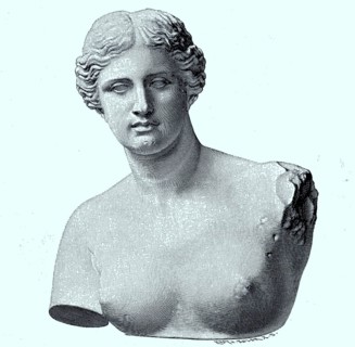 Die Venus von Milo