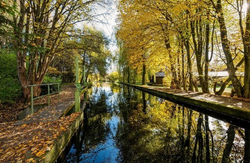 Golden autumn on the Anzinger Sempt in Markt Swabia