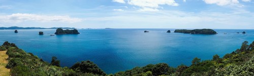 Coast at Cathedral Cove Walk