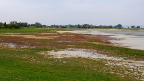 Dried-up salt puddle in late summer