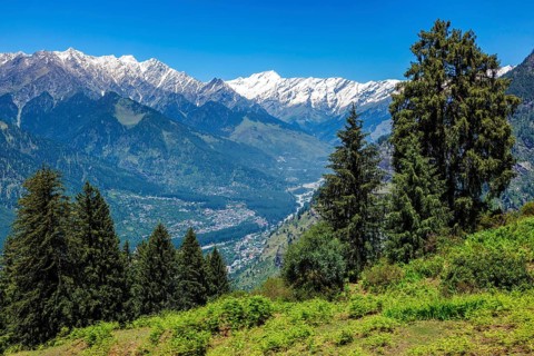 Spring meadow in Kullu valley in Himalaya mountains. Himachal Pradesh