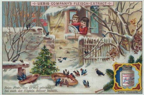Series of Christmas dreams and mishaps