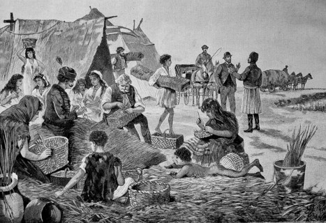 Basket weavers