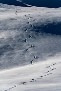 Einsame Skispur in unberuehrter Winterlandschaft