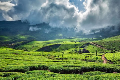 Kerala India travel background
