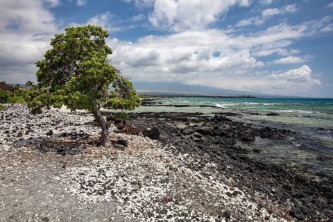 Volcanic beach
