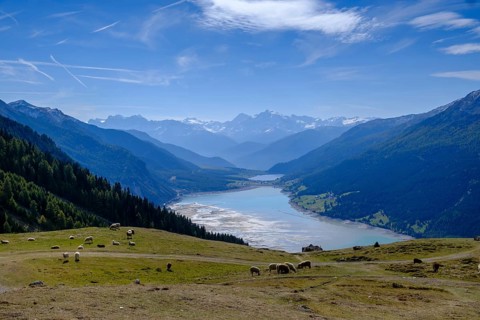 Viewpoint of Lake Reschen and the Ortler Group from the Plamort plateau