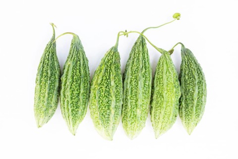 Bitter melon