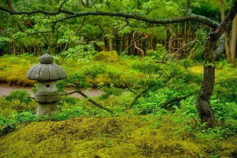 Stone lantern in Japanese garden