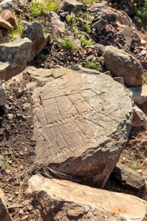 Podomorphos