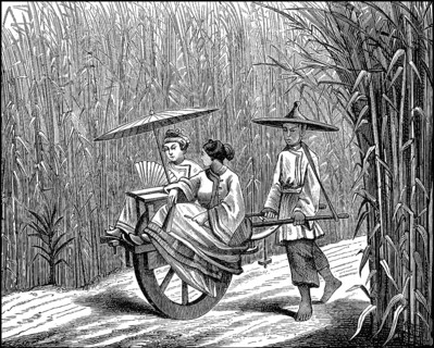Stroll of distinguished ladies in China