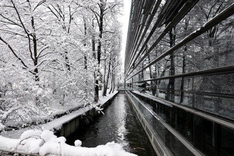 Glass facade of the Max Planck Institute for Innovation and Competition on Hofgartenstrasse