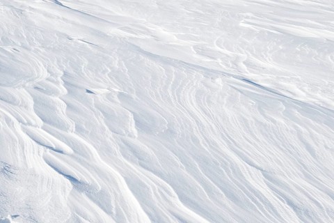 Snowdrift