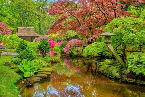 Little Japanese garden after rain