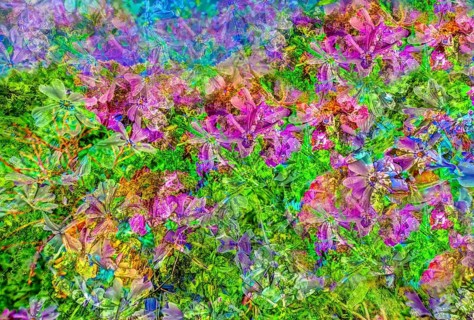 Flowers creative