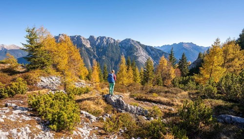 Hikers in the landscape