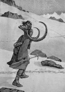 Ibex hunting