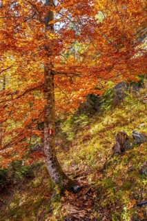 Hiking trail
