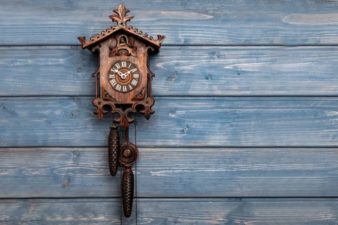 Antique Black Forest cuckoo clock in front of blue wooden wall