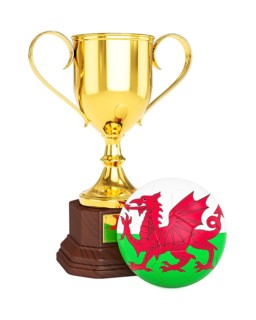 3d rendering of gold trophy cup and soccer football ball with Wales flag isolated on white background