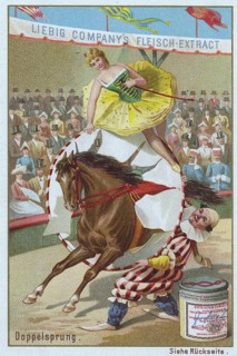 Series of horse dressage in the circus