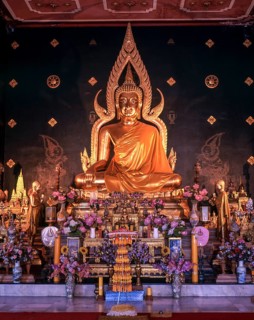 Statue of Lord Buddha in Thai Temple at Bodhgaya