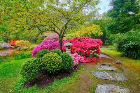 Stone lantern in Japanese garden with blooming flowers