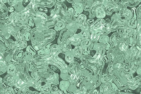 Shape of bacterial cell: cocci