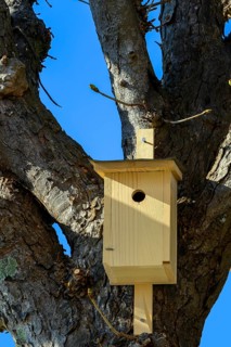 Bird nesting box
