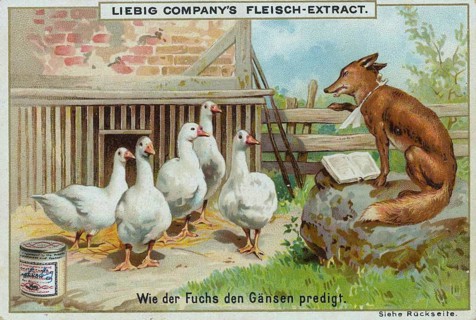 Series of funny animal depictions
