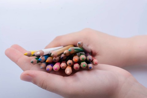 Hand holding color Pencils placed on a white background