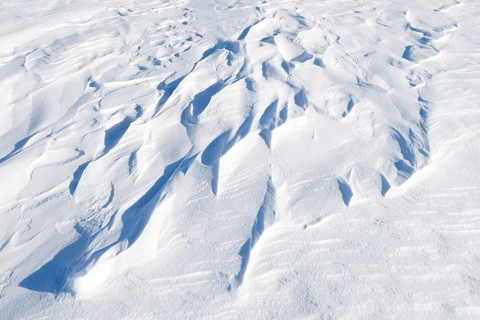 Snowdrift