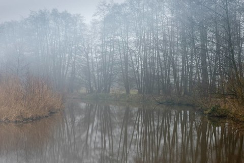 back water of the Ems