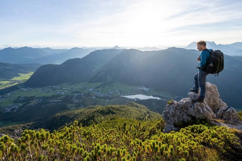 Hiker standing on a rock between mountain pines