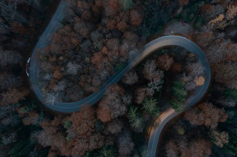 Double curve in the forest from above in the evening with slight light pulls