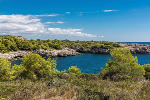 Cala Turqueta