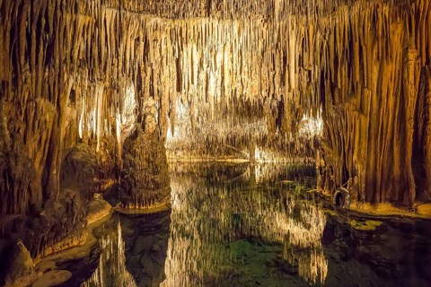 Coves del Drac