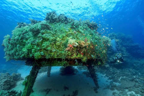 Diver swimming next to Jacques Yves Cousteau's underwater house Precontinent II